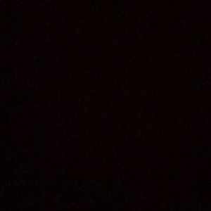 Meet your Posher, Antonio